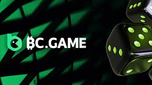 Exploring the BC.Game Mirror Mobile App A Comprehensive Guide